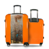 Valise Carte_Californie