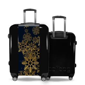 suitcase golden flakes