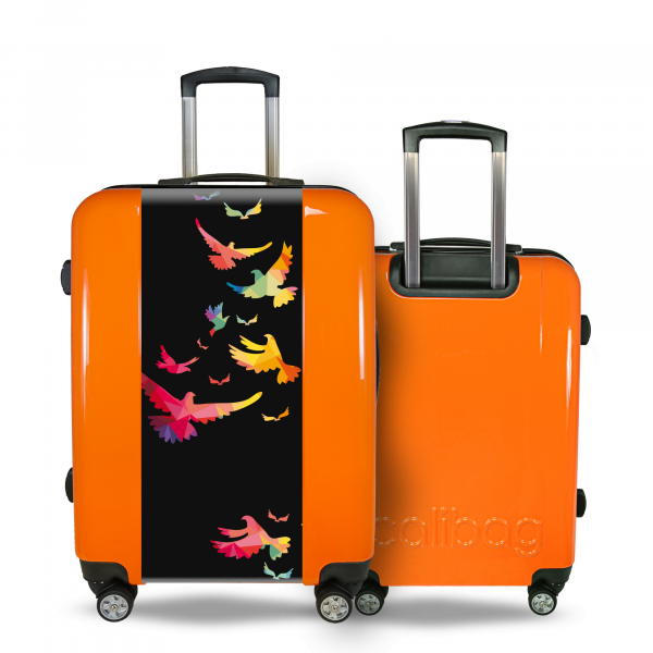 Suitcase birds