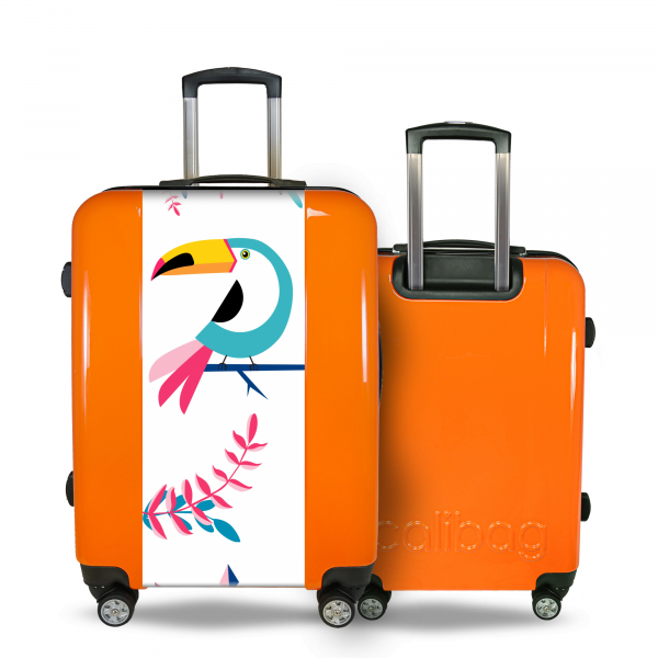 suitcase bird