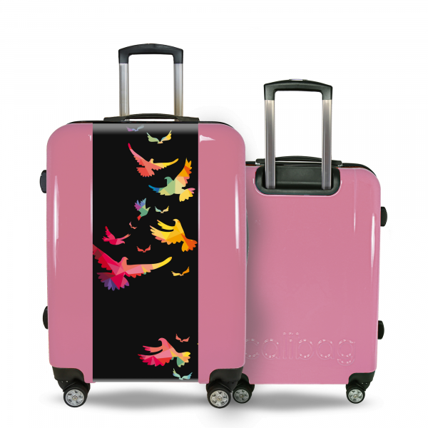 Suitcase birds