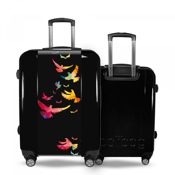 Valise Oiseaux_Multicolores