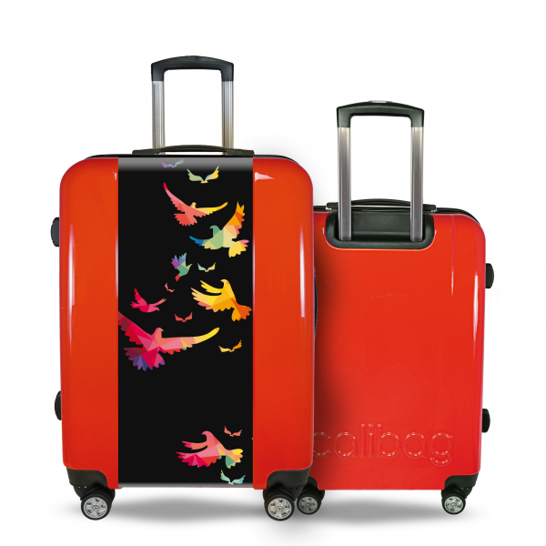 Suitcase birds