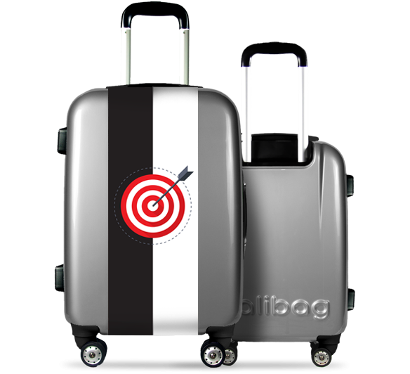 Grey Suitcase Target