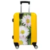 Spring Flower